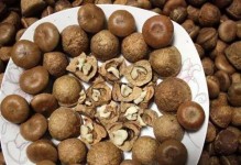 以锥子坚果为主题的文章（探索锥子坚果的起源、特点和食用方式）