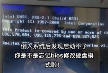 电脑启动时显示错误怎么办？（解决电脑启动错误的有效方法与技巧）