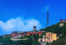 泰山在线（一站式在线教育平台，开启智慧学习之旅）