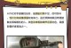 索尼A7M2高感表现如何？（解析索尼A7M2相机高感功能的性能及优势）