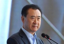 王健林（探索中国首富王健林的商业王国与成功秘诀）