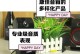 以佳比音箱怎么样？（全面评测以佳比音箱的功能、性能和音质）