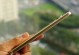 乐视Pro3信号稳定性如何？（探究乐视Pro3手机信号质量及其影响因素）