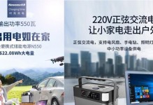 纽曼冰箱（智能科技与高效制冷的完美结合）