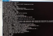 电脑无法上网的原因及解决方法（DNS配置错误导致的网络连接问题及解决方案）