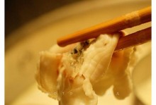 以小鱼在家的生活方式（探索小鱼如何在家中生活得精彩纷呈）
