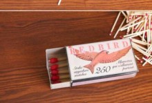 Redbird手机——革新科技引领未来通信（拥抱智能时代，Redbird手机让你体验全新的通信方式）