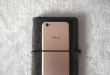 VivoX9进水后会有哪些影响？（探究VivoX9进水对手机功能的影响及处理方法）