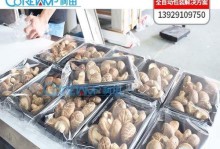 以蓝天代工怎么样？（探究以蓝天代工公司的发展状况和产品质量）