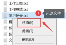 硬盘数据恢复技术解析（深入探究硬盘数据恢复的方法与原理）