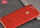 iPhone7Plus红色版（探索iPhone7Plus红色版的魅力与功能）